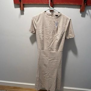 Ann Taylor size 12, neutral pattern, NWT